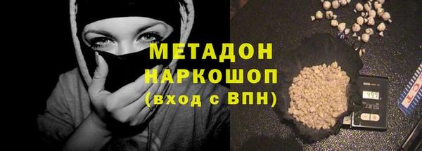 прущие грибы Арсеньев