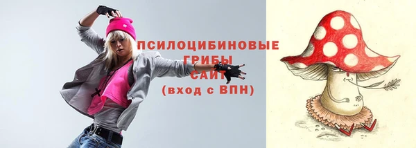 прущие грибы Арсеньев