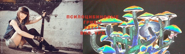 дмт Балабаново