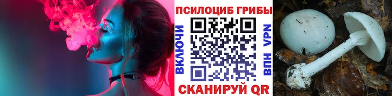Галлюциногенные грибы MAGIC MUSHROOMS  это официальный сайт  Нарьян-Мар 