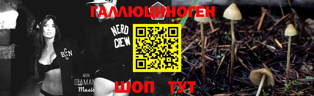 Нарьян-Мар  Галлюциногенные грибы ЛСД  Галлюциногенные грибы Psilocybe  закладки  Вход с VPN 