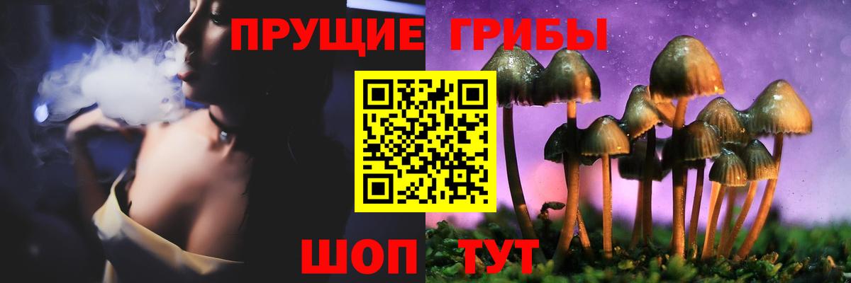 Галлюциногенные грибы мицелий Нарьян-Мар
